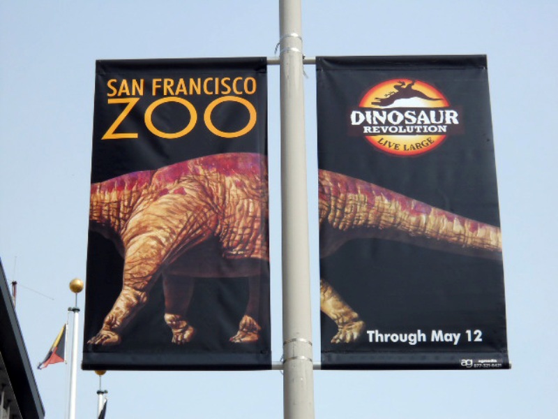 San Francisco Zoo – “Dinosaur Revolution: Live Large”