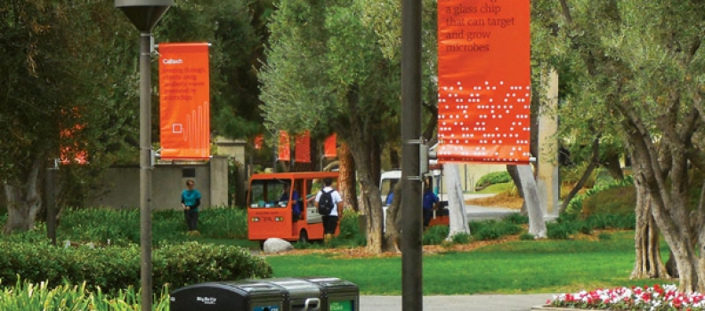 Outdoor Media for Educational Institutions