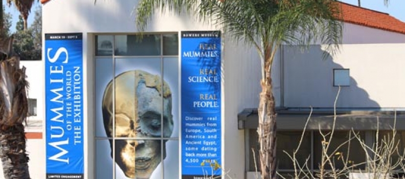 Exterior Building Banners – Making A Statement With Your Outdoor Media Campaign
