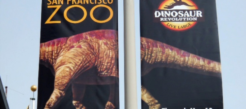 San Francisco Zoo – “Dinosaur Revolution: Live Large”